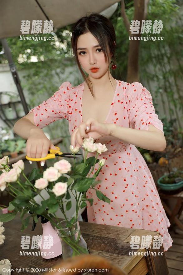 MFStar模范学院 - 宅兔兔睡衣小镇：图集与资源的轻松漫游