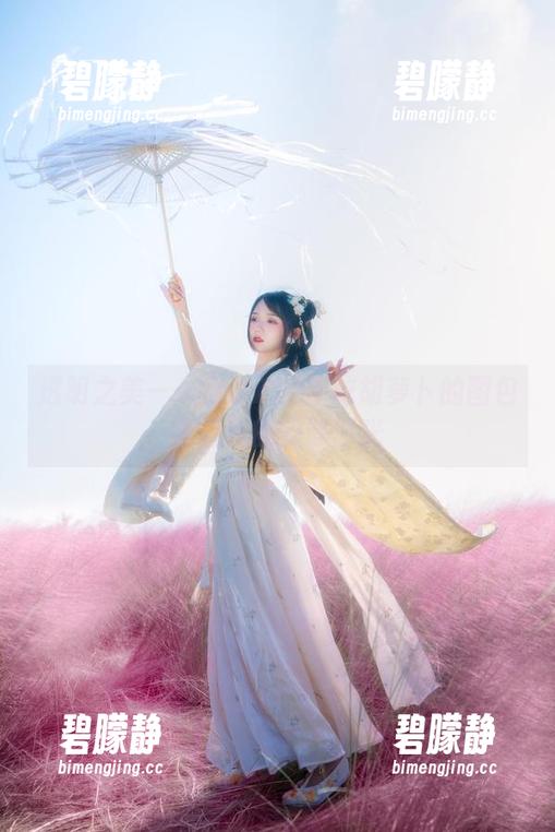透明之美——兔子Zzz不吃胡萝卜的图包唤醒我的安静时光