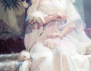 无圣光奇迹，在下萝莉控ii与雅儿贝德场照的完美搭配