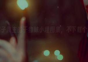 白易子教主的干物妹小埋图集，不下载个吧？