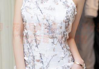 秀人网 – 花嫁写真合集：林文文分享她的“若隐若现”婚纱情结